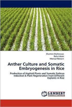 Anther Culture and Somatic Embryogenesis in Rice de Sharmin Shahnewaz