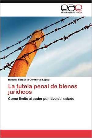 La Tutela Penal de Bienes Juridicos: Una Aproximacion a Su Comprension. de Rebeca Elizabeth Contreras López