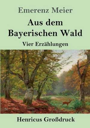 Aus dem Bayerischen Wald (Großdruck) de Emerenz Meier