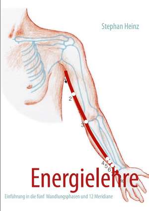 Energielehre de Stephan Heinz