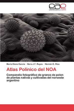 Atlas Polinico del Noa