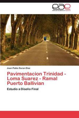 Pavimentacion Trinidad - Loma Suarez - Ramal Puerto Ballivian