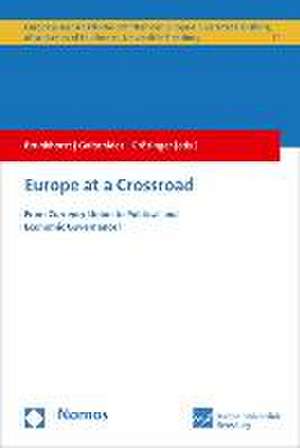 Europe at a Crossroad de Hauke Brunkhorst