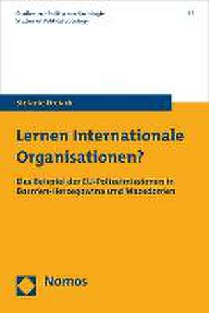 Lernen Internationale Organisationen? de Stefanie Dreiack