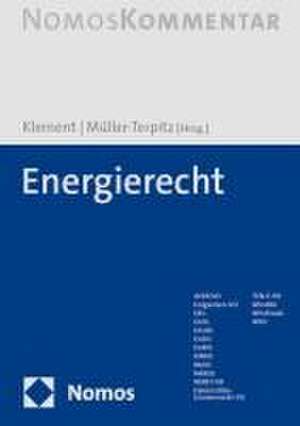 Energierecht de Jan Henrik Klement