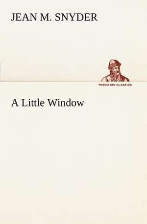 A Little Window de Jean M. Snyder