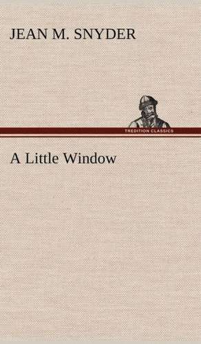 A Little Window de Jean M. Snyder