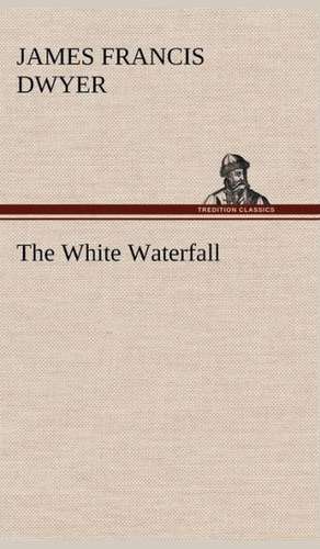 The White Waterfall de James Francis Dwyer