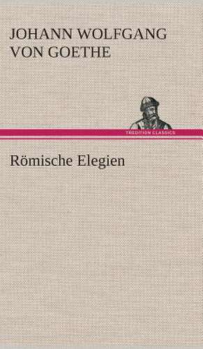 Römische Elegien de Johann Wolfgang von Goethe