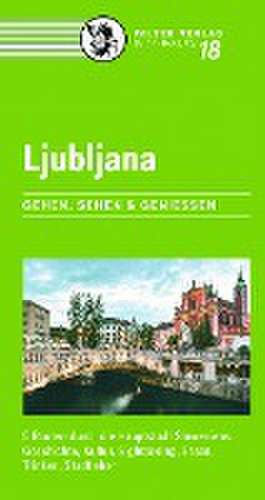 Ljubljana de Simon Oslak-Gerasimov