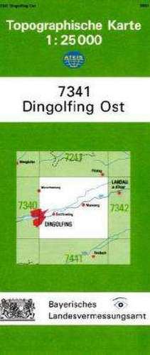 Dingolfing Ost 1 : 25 000