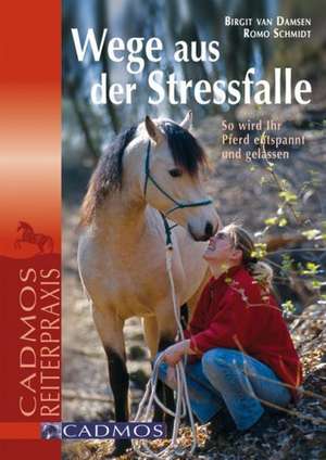 Wege aus der Stressfalle de Birgit van Damsen