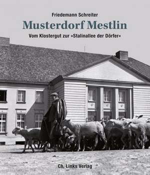 Musterdorf Mestlin de Friedemann Schreiter