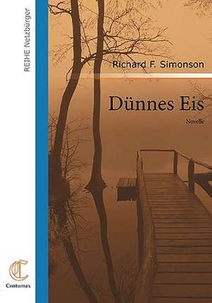 D Nnes Eis: Art Deserves a Witness de Richard F. Simonson