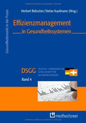 Effizienzmanagement in Gesundheitssystemen de Herbert Rebscher