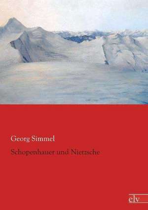 Schopenhauer und Nietzsche de Georg Simmel