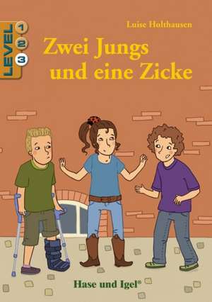 Zwei Jungs und eine Zicke / Level 3. Schulausgabe de Luise Holthausen