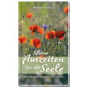 Kleine Auszeiten für die Seele de Andreas Pohl