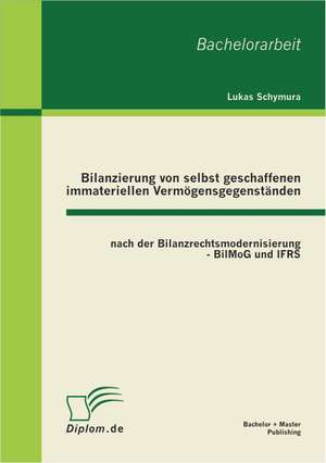 Bilanzierung Von Selbst Geschaffenen Immateriellen Vermogensgegenstanden Nach Der Bilanzrechtsmodernisierung - Bilmog Und Ifrs: Eine Komparative Analyse Der Demokratiemodelle Von Argentinien, Brasilien, Chile Und Uruguay de Lukas Schymura