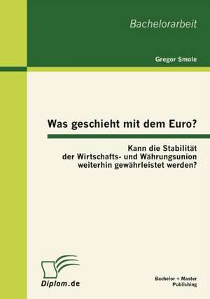 Was Geschieht Mit Dem Euro? Kann Die Stabilit T Der Wirtschafts- Und W Hrungsunion Weiterhin Gew Hrleistet Werden?: Pakistans Rolle Im "War on Terror" Und Die Bilateralen Beziehungen Zu Den USA de Gregor Smole