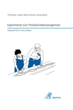 Experimente zum Produktivitätsmanagement de Till Potente