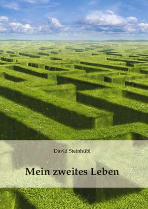 Mein zweites Leben de David Steinhübl