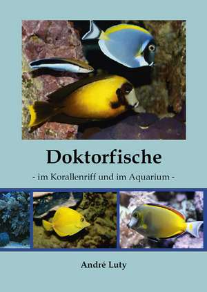 Doktorfische im Korallenriff und im Aquarium de Andrè Luty