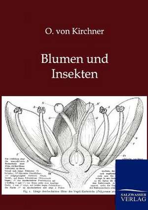 Blumen und Insekten de O. Von Kirchner