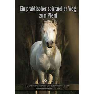 Ein praktischer spiritueller Weg zum Pferd de Helmut Dillmann