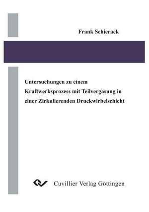 Untersuchungen zu einem Kraftwerksprozess mit Teilvergasung in einer Zirkulierenden Druckwirbelschicht de Frank Schierack