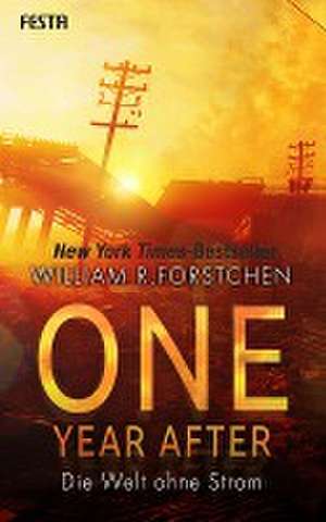 One Year After - Die Welt ohne Strom de William R. Forstchen