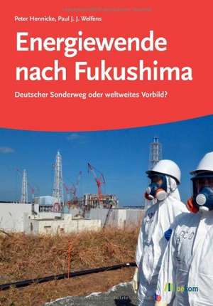 Energiewende nach Fukushima de Peter Hennicke