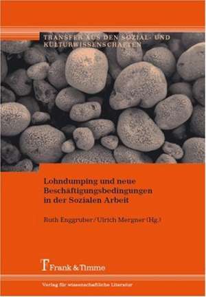 Lohndumping und neue Beschäftigungsbedingungen in der Sozialen Arbeit de Ruth Enggruber