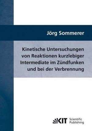 Kinetische Untersuchungen von Reaktionen kurzlebiger Intermediate im Zündfunken und bei der Verbrennung de Jörg Sommerer