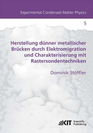 Herstellung dünner metallischer Brücken durch Elektromigration und Charakterisierung mit Rastersondentechniken de Dominik Stöffler