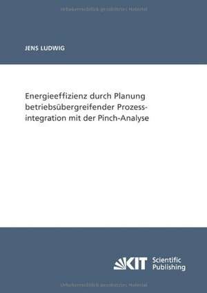 Energieeffizienz durch Planung betriebsübergreifender Prozessintegration mit der Pinch-Analyse de Jens Ludwig