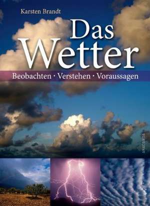 Das Wetter - Beobachten, verstehen, voraussagen de Karsten Brandt