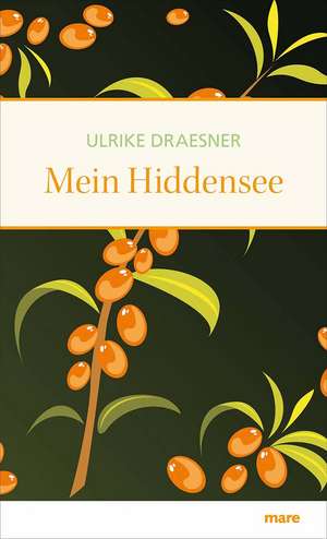 Mein Hiddensee de Ulrike Draesner