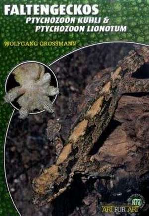 Faltengeckos de Wolfgang Grossmann