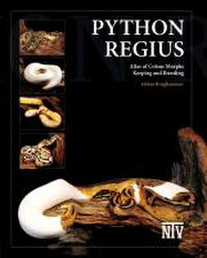 Python regius de Stefan Broghammer