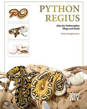 Python regius de Stefan Broghammer
