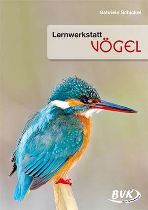 Lernwerkstatt Vögel de Gabriele Schickel