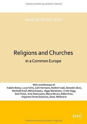 Religions and Churches in a Common Europe de János Wildmann