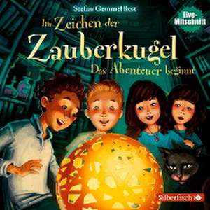 Im Zeichen der Zauberkugel 01: Das Abenteuer beginnt de Stefan Gemmel