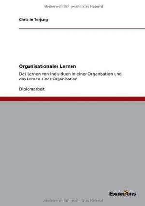 Organisationales Lernen de Christin Terjung