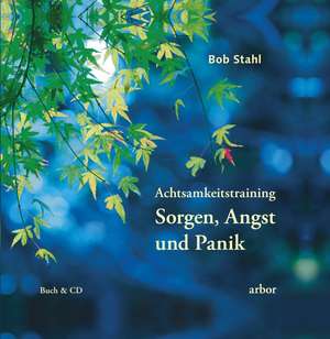 Achtsamkeitstraining "Sorgen, Angst & Panik" de Bob Stahl