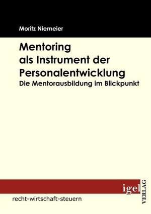 Mentoring ALS Instrument Der Personalentwicklung: Eine Wirtschaftlichkeitsanalyse de Moritz Niemeier