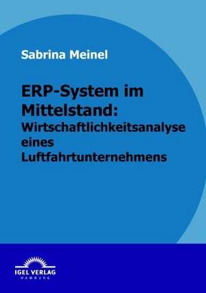 Erp-System Im Mittelstand: Wirtschaftlichkeitsanalyse Eines Luftfahrtunternehmen de Sabrina Meinel