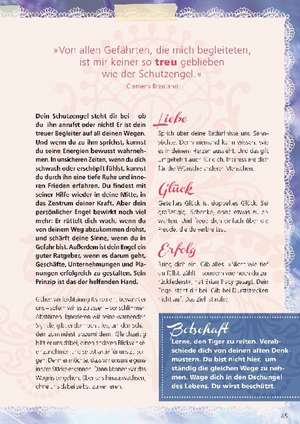 Das Buch: Engel-Karten de Pia Schneider