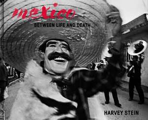 Mexico: Between Life and Death de Harvey Stein